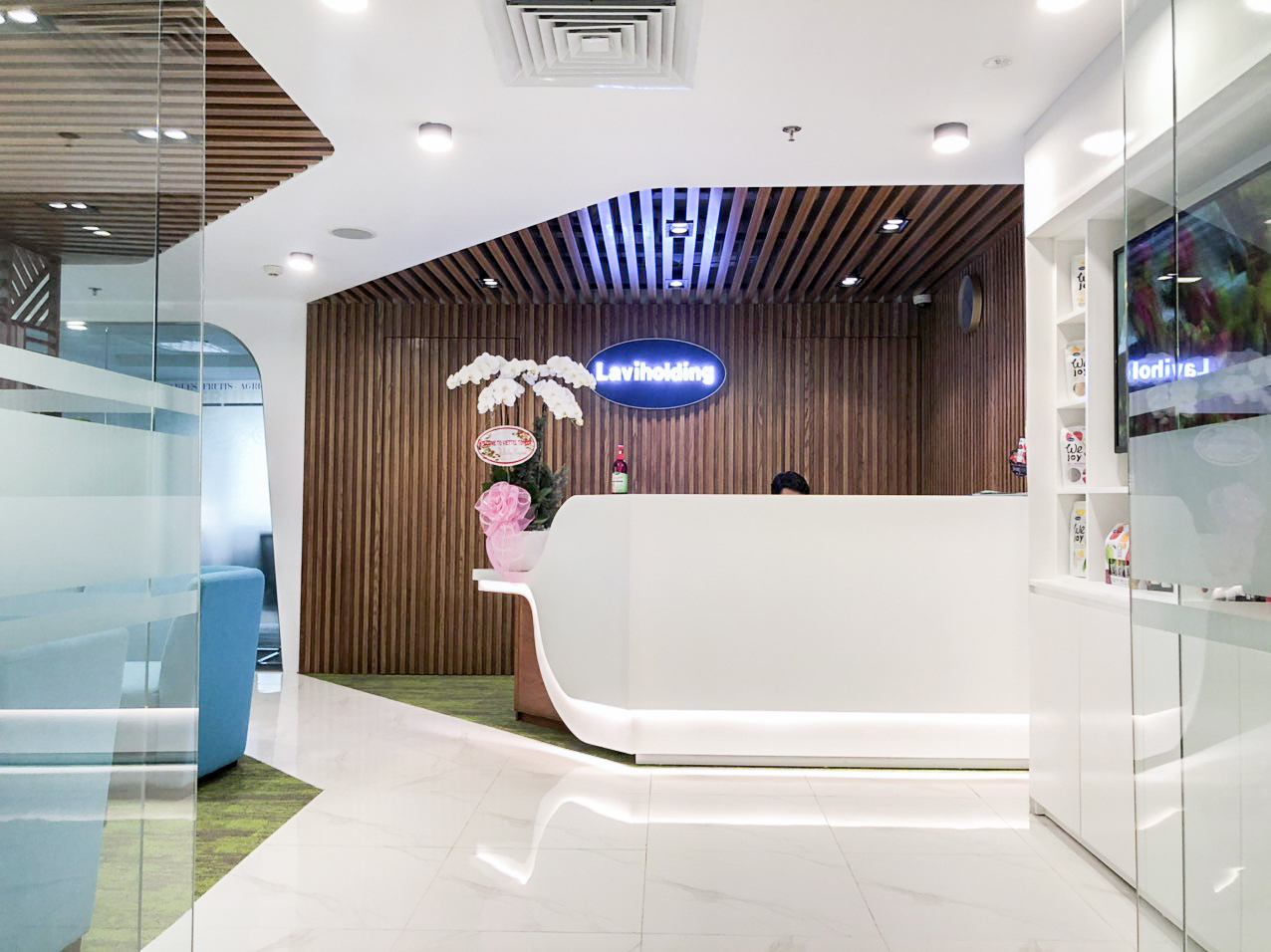 Lavi Holding Office 