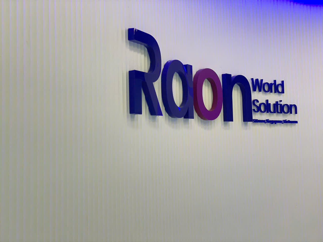 RAON WORLD SOLUTION 